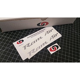 RAM AIR Decals Firebird Trans Am Formula GTO Hood Stickers 1993-2002 Select Color (Metallic Silver)