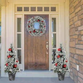 Northlight 3' Pre-Lit Potted Snowy Bristle Pine Artificial Christmas Tree, Warm White LED Lights