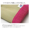 Ikehiko "Sayaka" igusa nap mat.