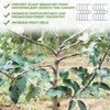 Raxfekro Branch Separator Fruit Tree, Branch Puller Holder for Fruit