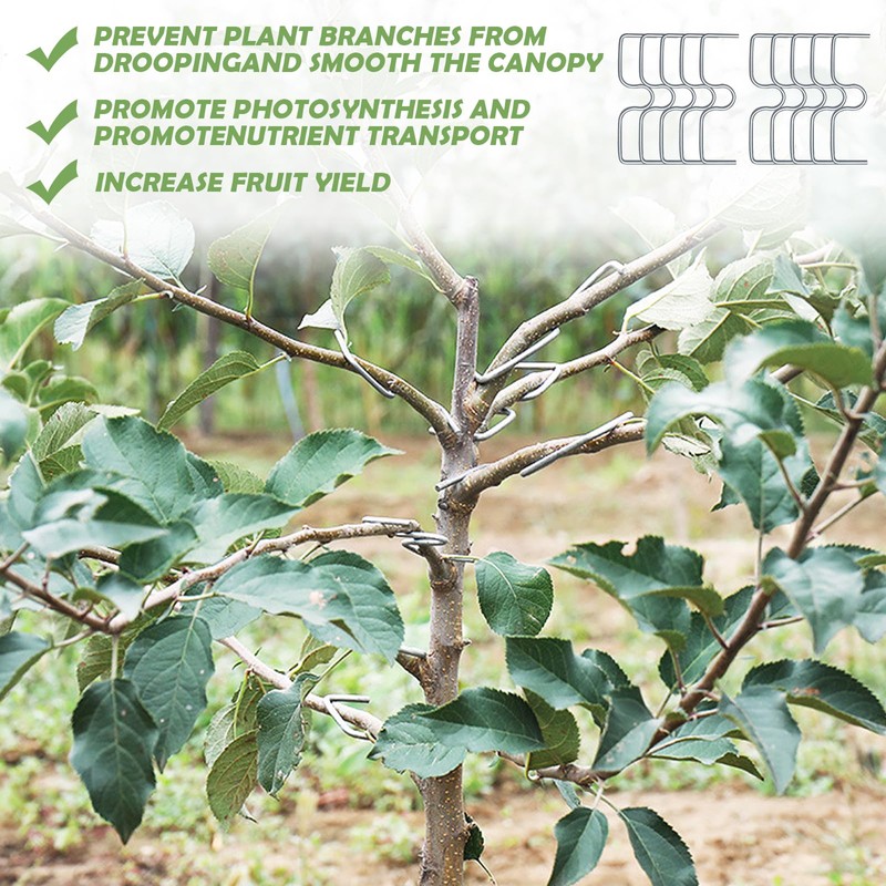 Raxfekro Branch Separator Fruit Tree, Branch Puller Holder for Fruit