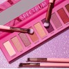 Paleta 10 Sombras Alta Pigmentacion Brillo Mate Trendbeauty
