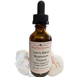 MagMushrooms Lion’s Mane Tincture, High Potency, Double Extracted, 60 Daily Doses