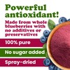 Food to Live Blueberry Powder, 4 Pounds - 100% Pure,