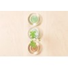 +d フラワーベース ミチクサ 芝 d-370-GR