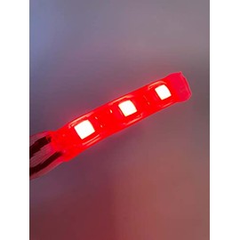 Underwater LED Light, Waterproof Lighting for Your Indoor Fountain (Including Transformer) (Red)