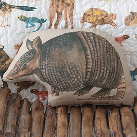 Rod's Southwest Armadillo Pillow