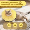 Cat Collar - Protective Collar Cat M - Soft PP