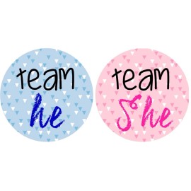 Unbranded 24 Gender Reveal Baby Shower - Team He/Team She (#4) Guess Boy Or Girl-Triangles