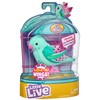 Little Live Pets LIGHT UP SONGBIRDS S9- Styles vary