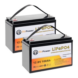 BtrPower 12V 10Ah LiFePO4 Battery,3000+ Deep Cycles Lithium Batteries,Built-in 10A BMS,Perfect for Cyberpower UPS,Fishfinder,Lighting,Power Wheels,Lighting,Lawn Mower