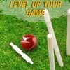 Eagle Pride Premium Hand-Stitched Leather Cricket Balls for Club, Practice,