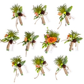 TINGE TIME Tropical Citrus Boutonniere for Men, Set of 10 Groom and Groomsmen Boutonniere for Wedding, Prom, Homecoming, Anniversary, Graduation