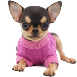 LOPHIPETS 100% Cotton Dog Tee Shirt for Small Dogs Teacup Chihuahua Yorkie Puppy Clothes-Purple/XS