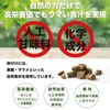 本然農園 モリンガ青汁 RESCUE 健康青汁 粉末 マンジェリコン 自然派 ナチュナル 大麦若葉 食物繊維