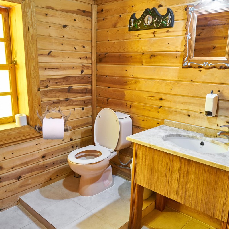 Antler Toilet Paper Holder, Wall Mounted Bathroom Decoration, Rustic Cabin