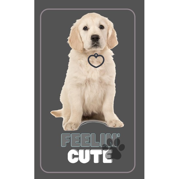 Feeling Cute Pocket Notebook: Your Companion for Paw-sitive Thoughts