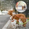 GIIPET-Dog Leash Extendable Double Lead for Dogs and Cats, Double