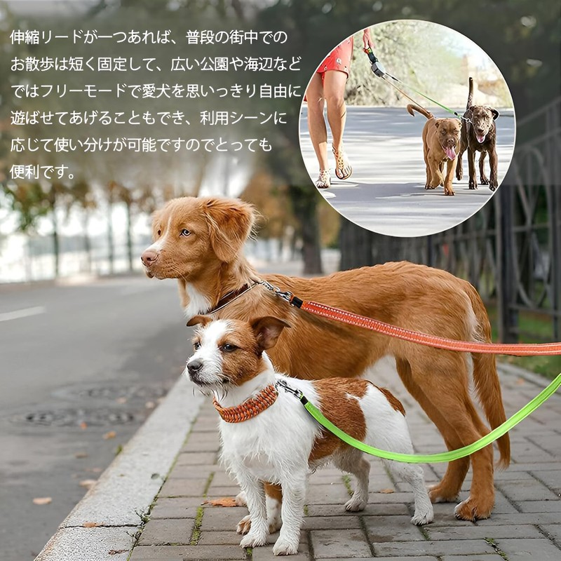 GIIPET-Dog Leash Extendable Double Lead for Dogs and Cats, Double