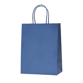 Nexmint 12-Pack Medium Blue Paper Gift Bags with Handle: Blue Gift Bags, Blue Paper Bag, Shopping Bag, Party Favor Bags, Treat Bags, Goodie Bag, Business Tchotchkes, Shopping Bag, Retail Bag, Kraft Paper Bag
