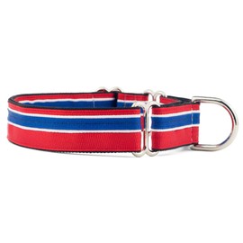 If It Barks 1" Martingale Collar for Dogs, Adjustable Nylon, USA Made, Medium, Patriotic