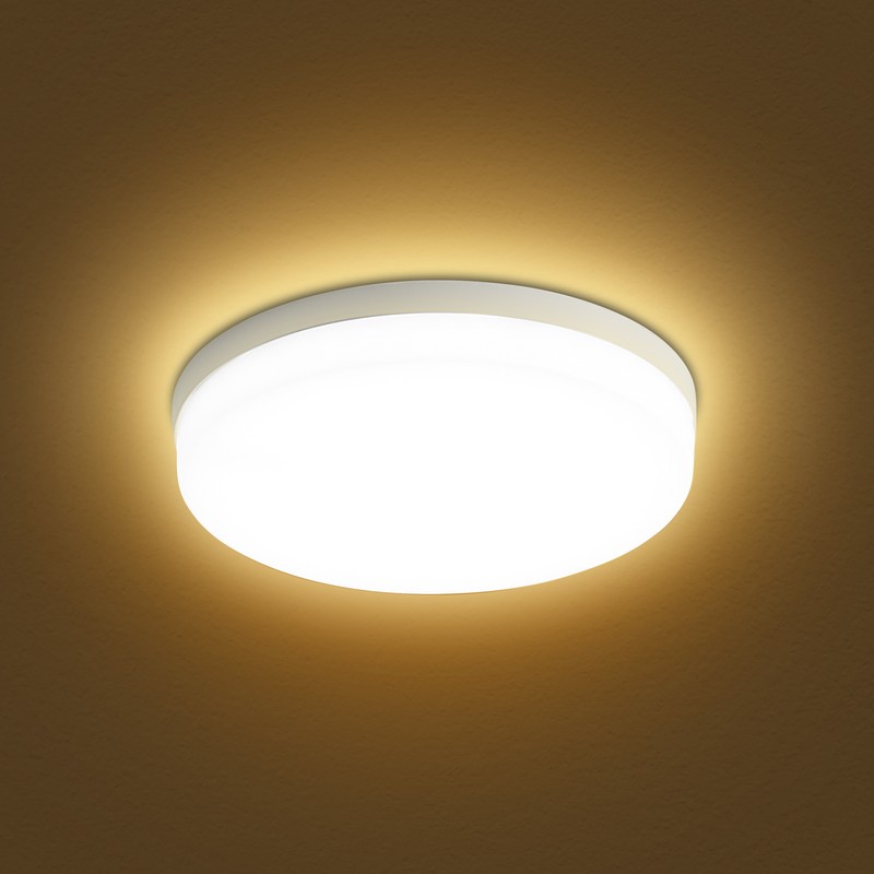 LEDs Ceiling Light Flush Mounting 48W Round Ceiling Lamp for