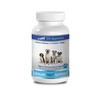 PET SUPPLEMENTS PET SUPPLEMENTS Dog Urinary Tract - Dog Urinary