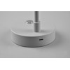 Reality Leuchten Lenny R52661111 LED Desk Light Plastic Grey with