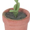 Mini Dollhouse Plant Simulation Realistic Vivid Portable Dollhouse Miniature Potted