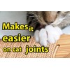 Skywin Cat Steps - Wooden Solid Rubber Stairs for Climbing