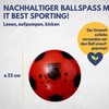 Best Sporting Fun PVC Ball 23 cm Football / Beach