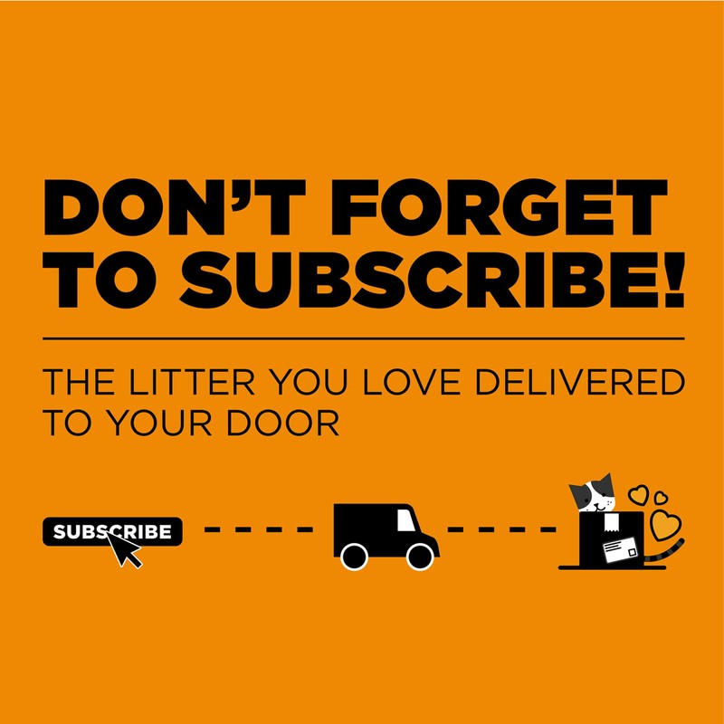 ARM & HAMMER Cloud Control Platinum Clumping Cat Litter Odor