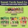 Zinnia Cut & Come Again Mix - Bulk 1/4 Pound