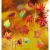 56 Pcs Fall Window Clings, Fall Window Decals for Autumn