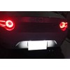 RZG 2x LED Licence Number Plate Light White Canbus For