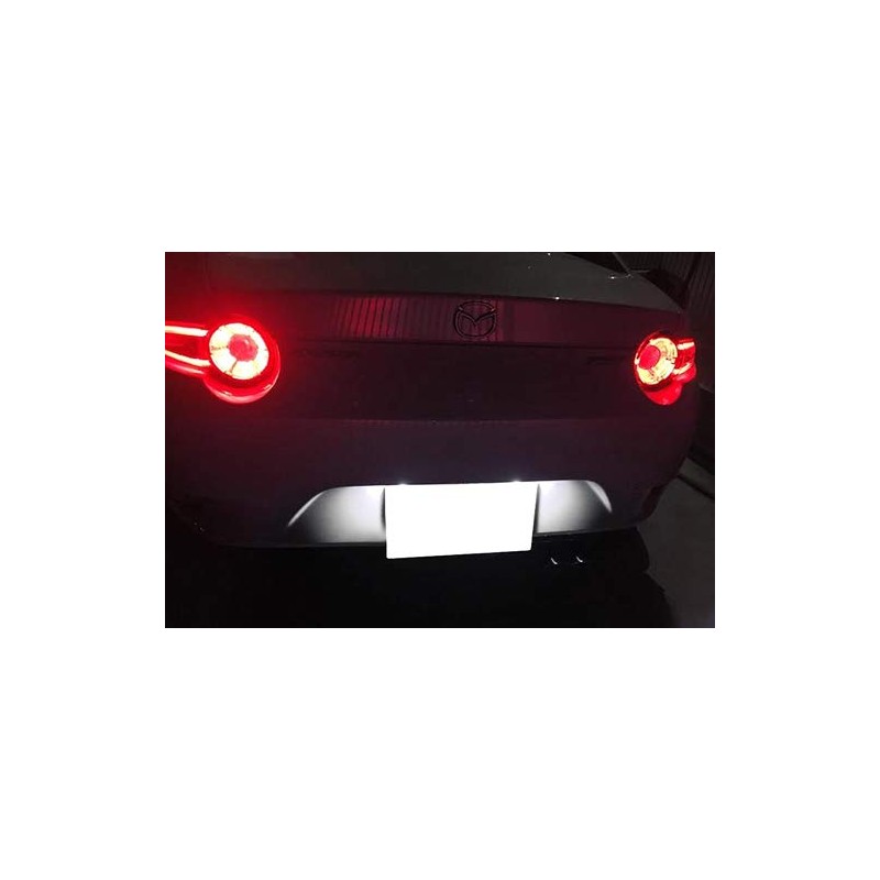 RZG 2x LED Licence Number Plate Light White Canbus For