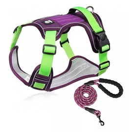 UNA MASCOTA Pechera Arnés De Seguridad para Perro Mediano Y Grande con Correa 1.5m (Morado con Verde, M)