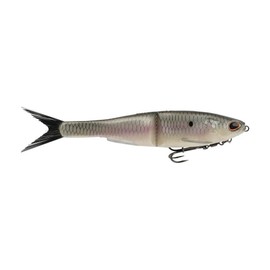 PowerBait Nessie-Box-Hickory Shad-