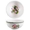 Portmeirion Botanic Garden Birds Salad Dessert Fruit Bowl
