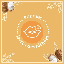 Le Petit Marseillais - Lip Care Stick - Nourishing Lips Dry Lips