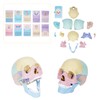 awagas New Human Anatomy Skull Model, 17 Part Puzzle of