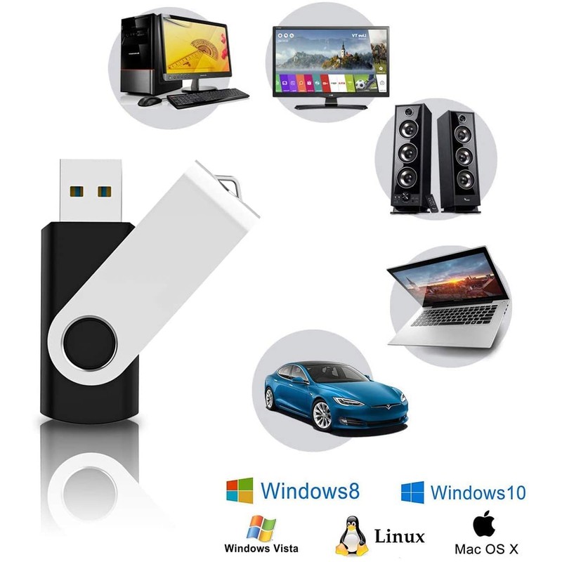 RAOYI 10 Pack 4GB USB Flash Drives USB Stick USB