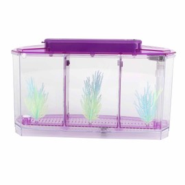 Betta Fish Tank, Adjustable Light Breeding Fish Tank with LED Light,Incubator Mini Fish Tank LED Acrylic Three Divisions Breeding Isolation Box for Small Fishes(Purple)