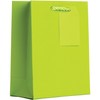 Jillson Roberts Small Gift Bags, Matte Lime (12 Pcs)