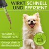 ENEMEL® Joint Complex for Dogs [100 ml] | Innovation Through