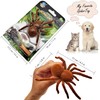 Escomdp Electric Spider Tarantula Animal Toy Realistic Vibrate Move Pets