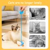 MUNSKT 2 PCS Catnip Toys, Safe Chew Rope Toy for