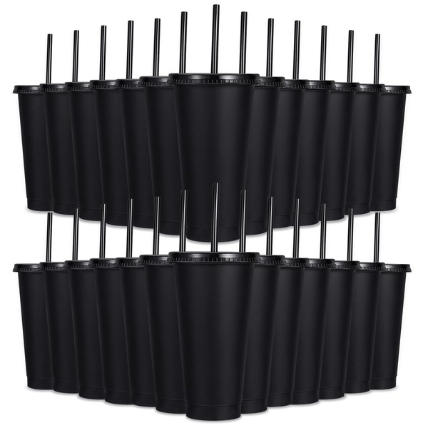 24 Pack Plastic Tumblers with Lids and Straws, Reusable Cups