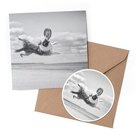 1 x Greeting Card & 10 cm Round Sticker Set - BW - Border Collie Frisbee Beach - Birthday Thank You Friend Lover Fan Mum Dad Kids #36469