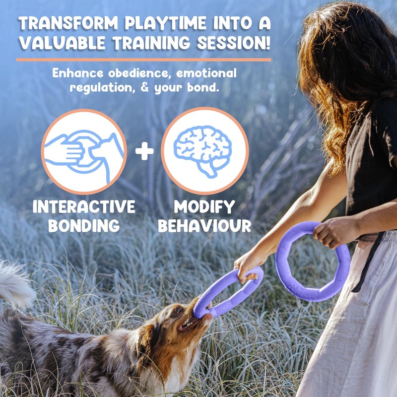 APAWLO Pets Active Ring Dog Toy for Fetch, Tug &